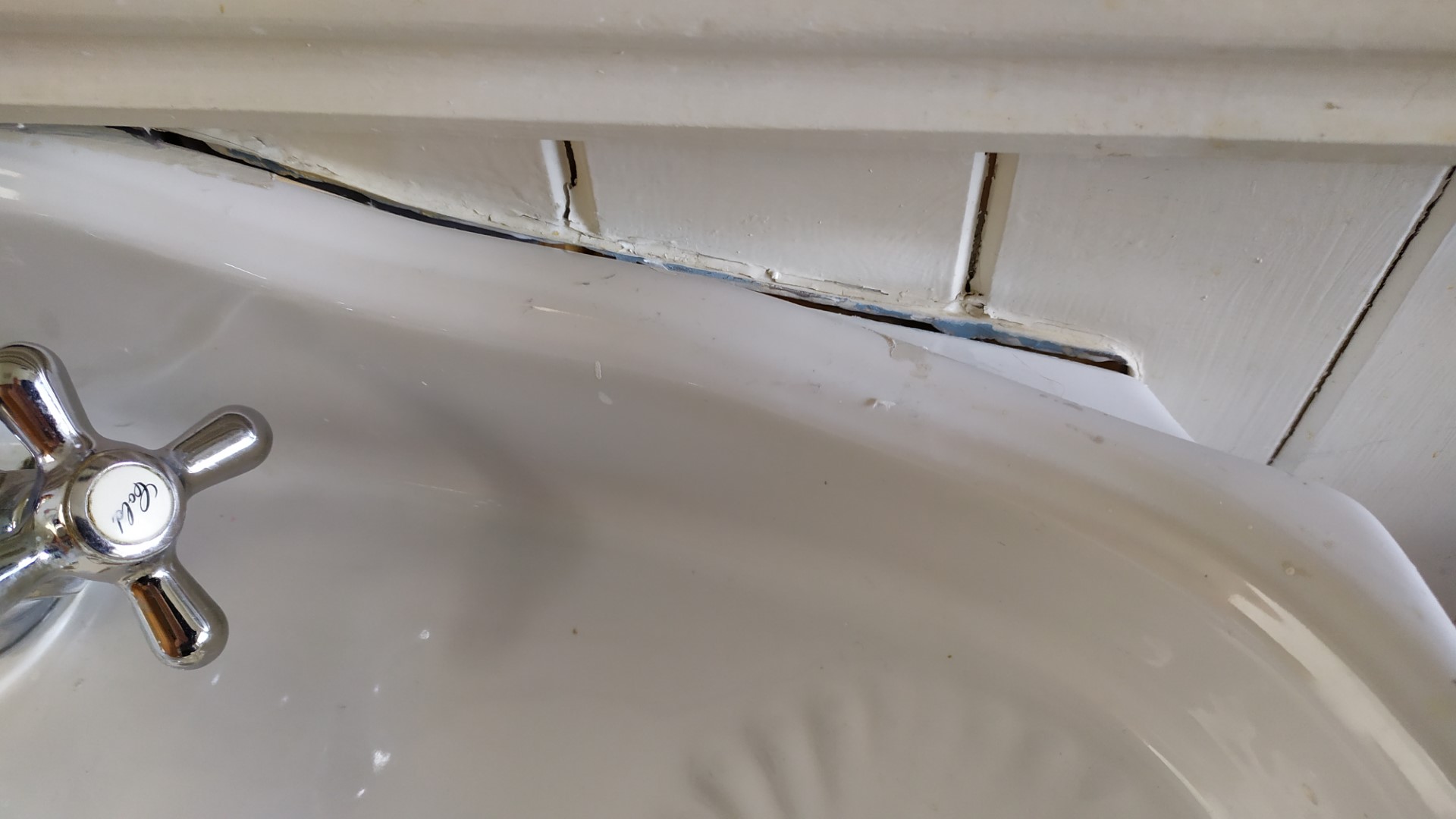 IMG_20220320_155942%20%28Large%29